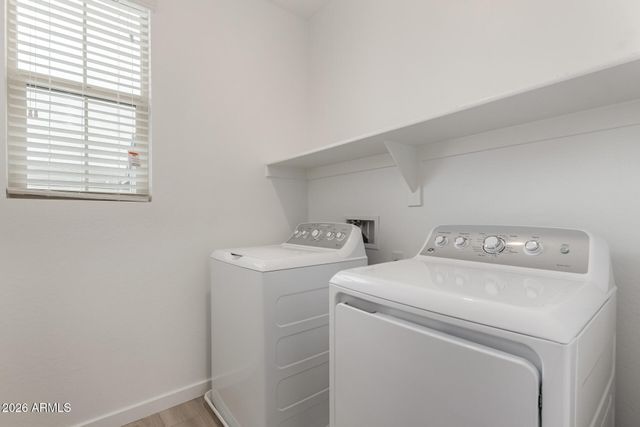 1319 W BLUEJAY Drive, Chandler, AZ 85286