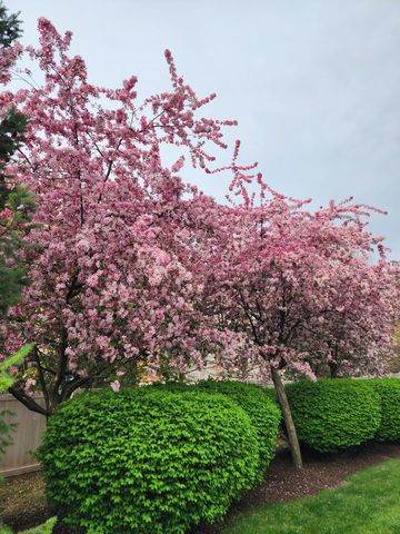 263 Lillian Court, Geneva, IL 60134