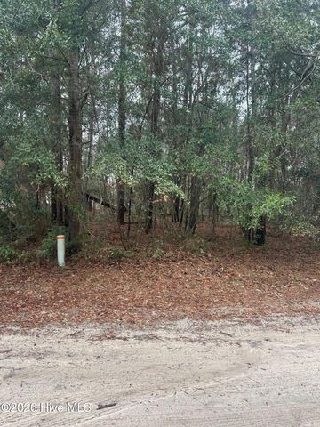 103 Dogwood Lane, Sneads Ferry, NC 28460