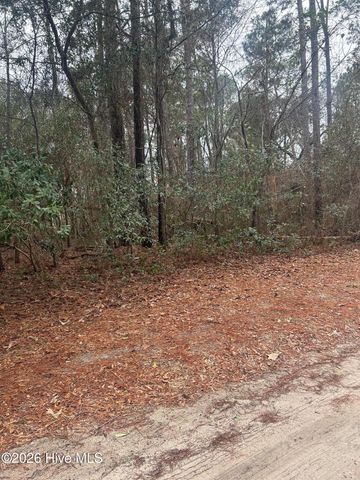 103 Dogwood Lane, Sneads Ferry, NC 28460