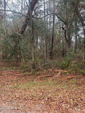 103 Dogwood Lane, Sneads Ferry, NC 28460