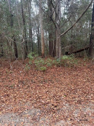 103 Dogwood Lane, Sneads Ferry, NC 28460