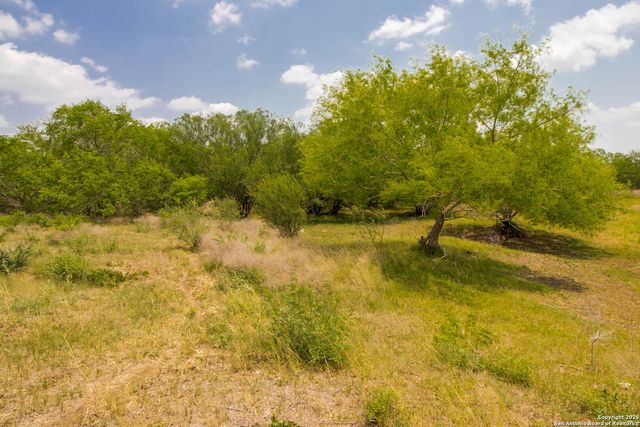 1591 county road 476, Stockdale, TX 78160