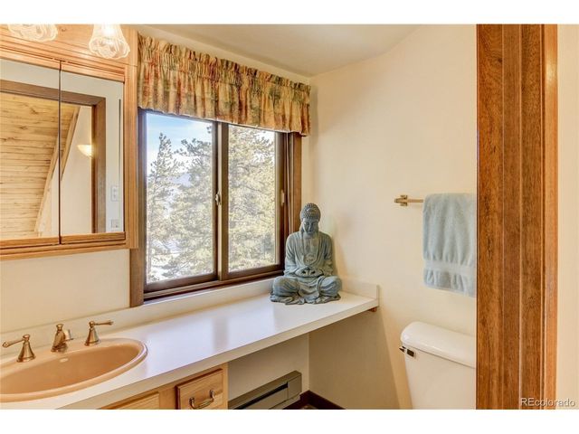 30500 Mountainside Dr, Buena Vista, CO 81211