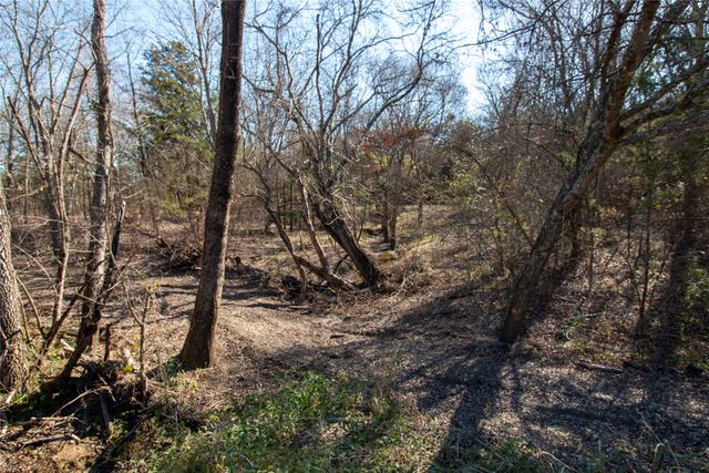 TBDlot1 County Road 2905, Dodd City, TX 75438