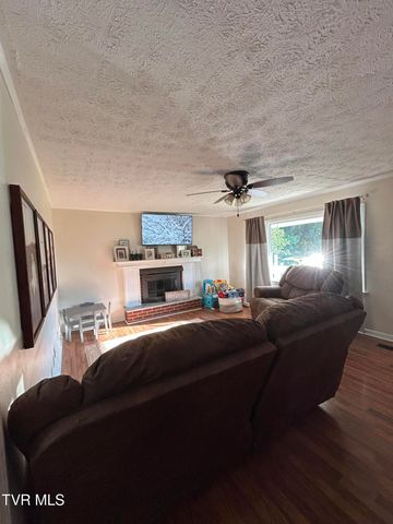 116 Orange Street, Kingsport, TN 37660