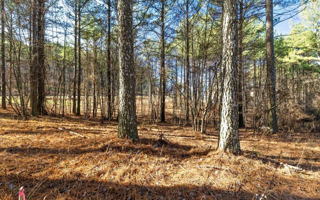1125 Split Rail Way, Guild, TN 37340