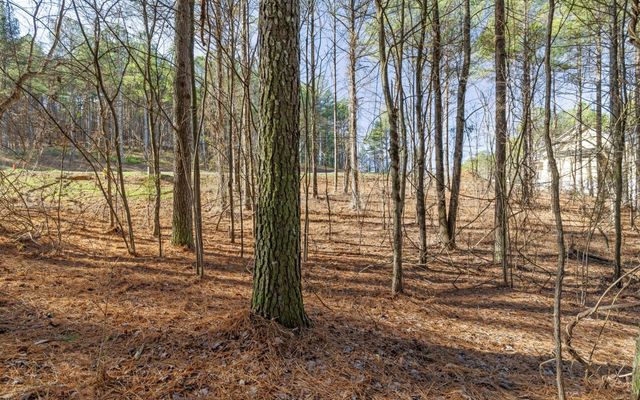 1125 Split Rail Way, Guild, TN 37340