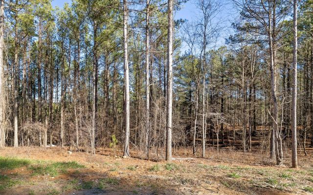 1125 Split Rail Way, Guild, TN 37340