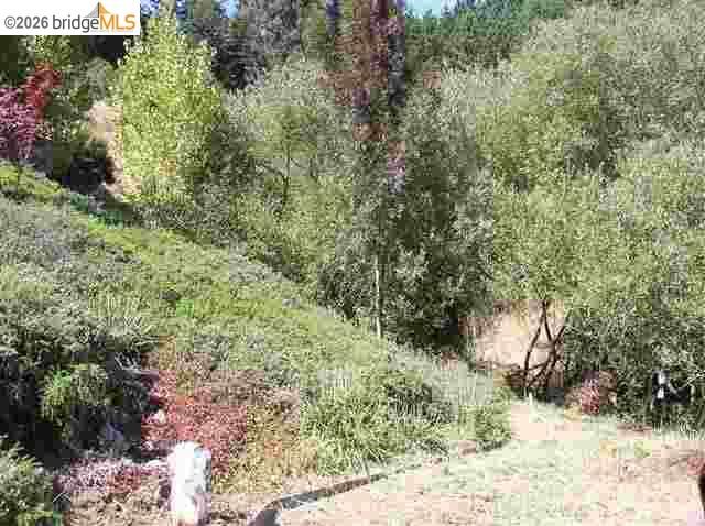7150 Marlborough, Oakland, CA 94705