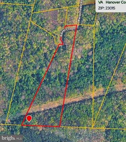 BAMBI CT, Beaverdam, VA 23015