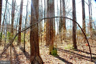 BAMBI CT, Beaverdam, VA 23015