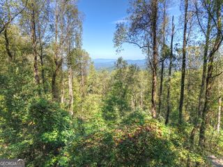 LT 296 Andes Ridge, Ellijay, GA 30536