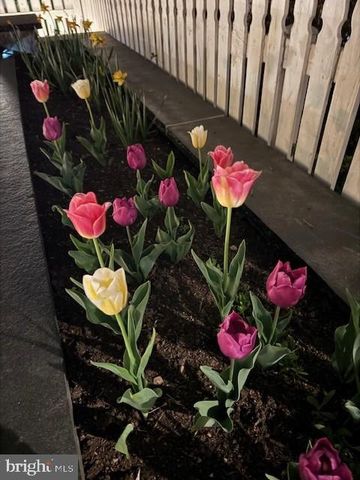 220 THAXTON ST, Gaithersburg, MD 20878