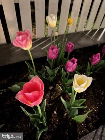 220 THAXTON ST, Gaithersburg, MD 20878