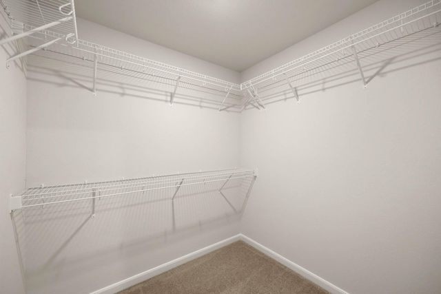 10706 Gossypium Court, Richmond, TX 77469