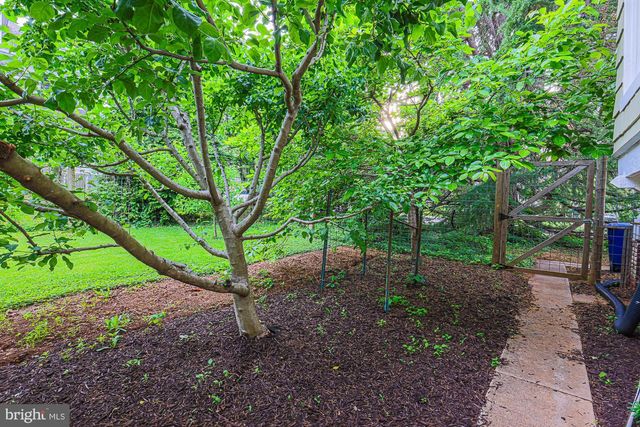 3309 W STRATHMORE AVE, Baltimore, MD 21215