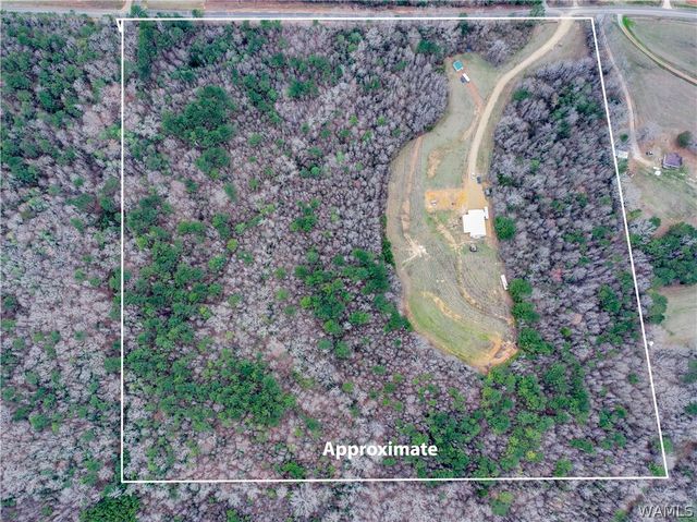 20361 William Kelly, Northport, AL 35475