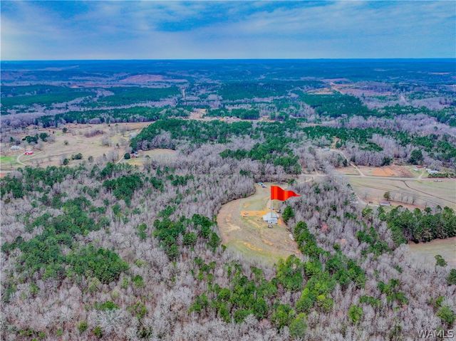 20361 William Kelly, Northport, AL 35475