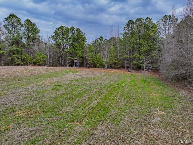 20361 William Kelly, Northport, AL 35475