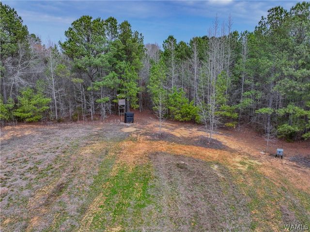 20361 William Kelly, Northport, AL 35475