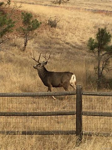 9238 Piney Creek Road, Parker, CO 80138