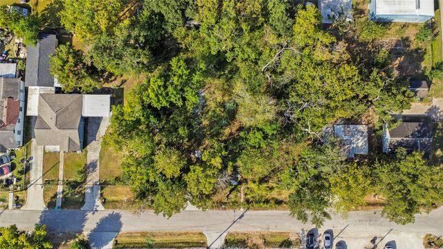 245 Palmyra Street, Houston, TX 77022