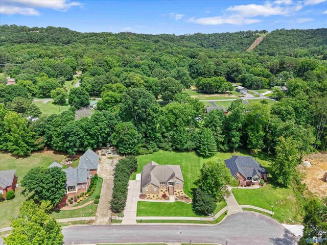 5519 Cedar Mill Drive, Guntersville, AL 35976