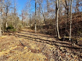 0 Taylor Circle, Tennessee Ridge, TN 37178