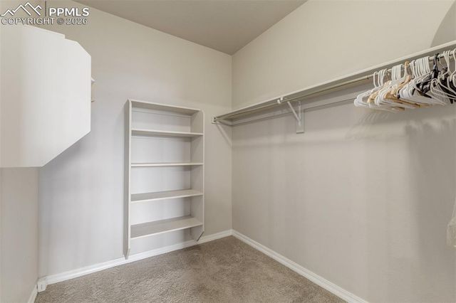 5877 Wild Rye Drive, Colorado Springs, CO 80919