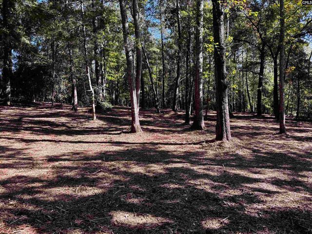 1338 John G Richards Road, Camden, SC 29020