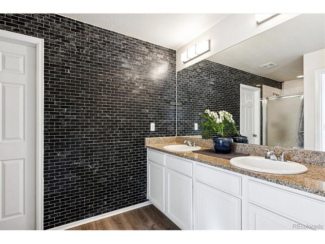 4488 Grapevine Way, Castle Rock, CO 80109