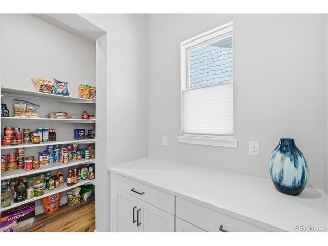 3269 Offbeaten Pl, Castle Rock, CO 80108