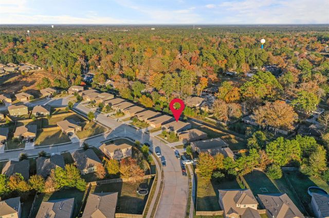 8985 Oval Glass Street, Conroe, TX 77304