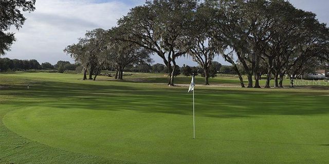 3088 BERWYN WAY, The Villages, FL 32162