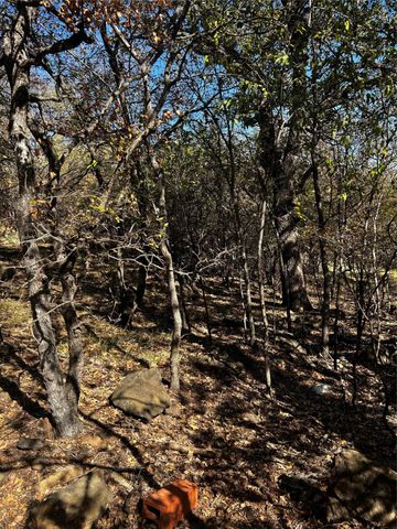 TBD NW 9th Street, Mineral Wells, TX 76067