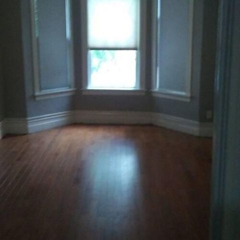 520 W 44th Place 2FF, Chicago, IL 60609