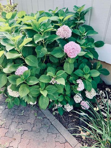 3600 SW Randolph Sq Unit 40, Topeka, KS 66611