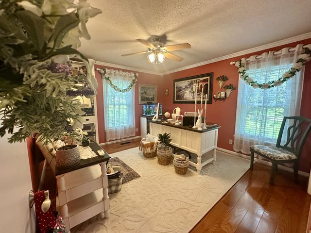 750 Mountain View Dr, Pulaski, TN 38478