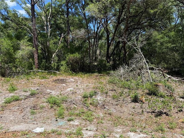 FISCHER LANE COURT, Ocklawaha, FL 32179