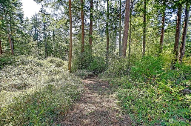 4081 Preserve Drive, Camano Island, WA 98282