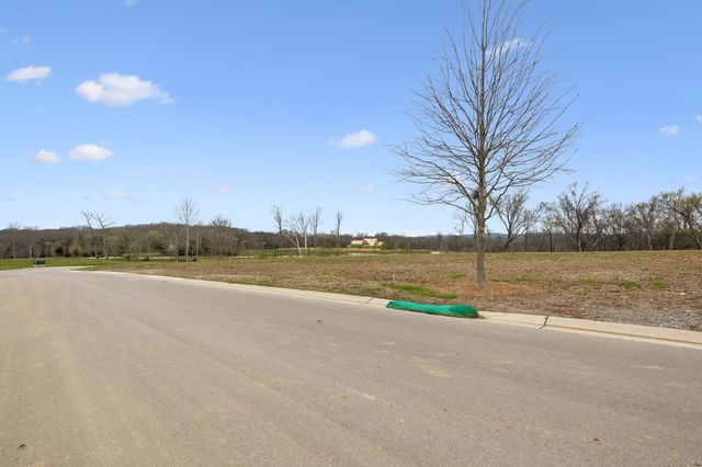 8410 Six String Drive, College Grove, TN 37046
