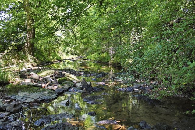 3300 Doyle Frazier Rd, Morrison, TN 37357
