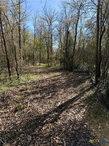 10794 FM 2159, Calvert, TX 77837