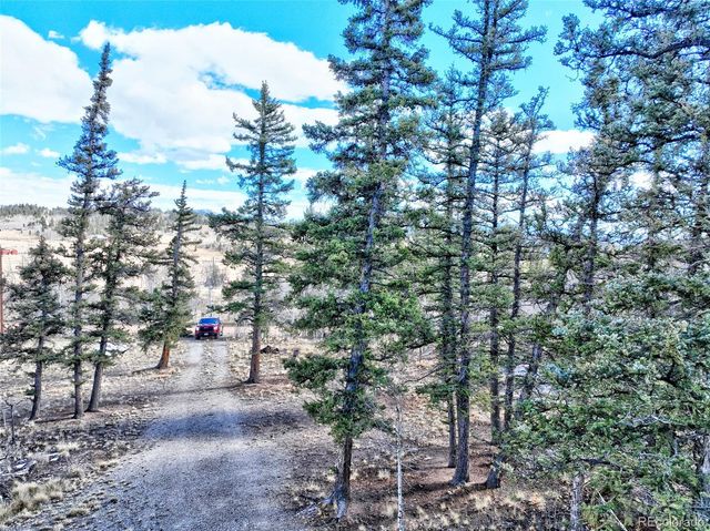 45 Swiggler, Jefferson, CO 80456