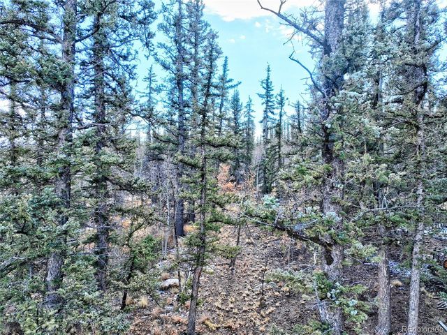 45 Swiggler, Jefferson, CO 80456