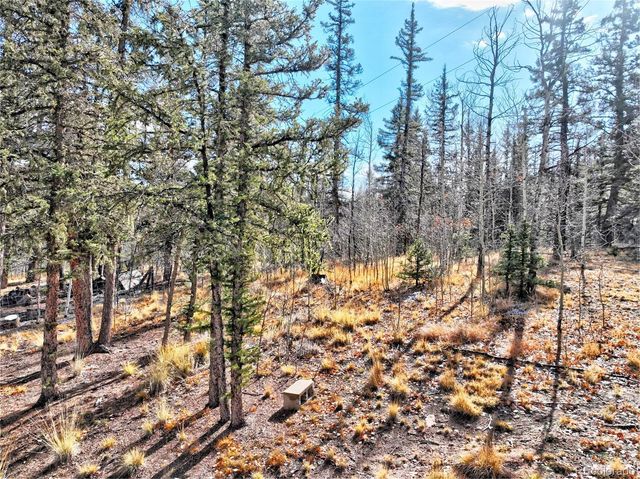 45 Swiggler, Jefferson, CO 80456