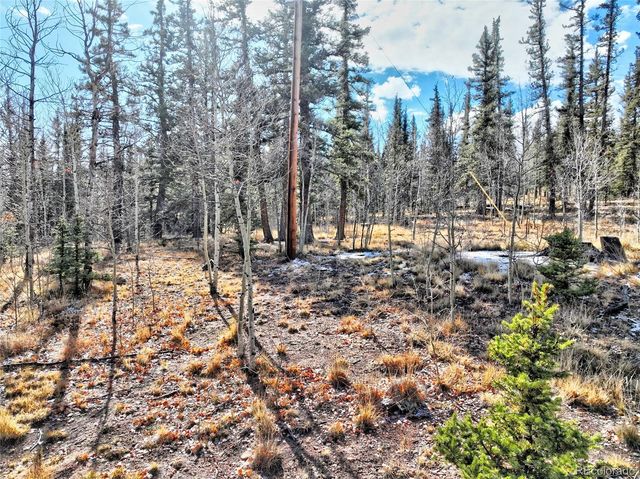 45 Swiggler, Jefferson, CO 80456