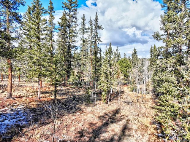 45 Swiggler, Jefferson, CO 80456