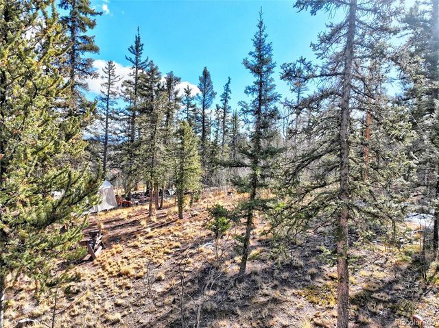 45 Swiggler, Jefferson, CO 80456